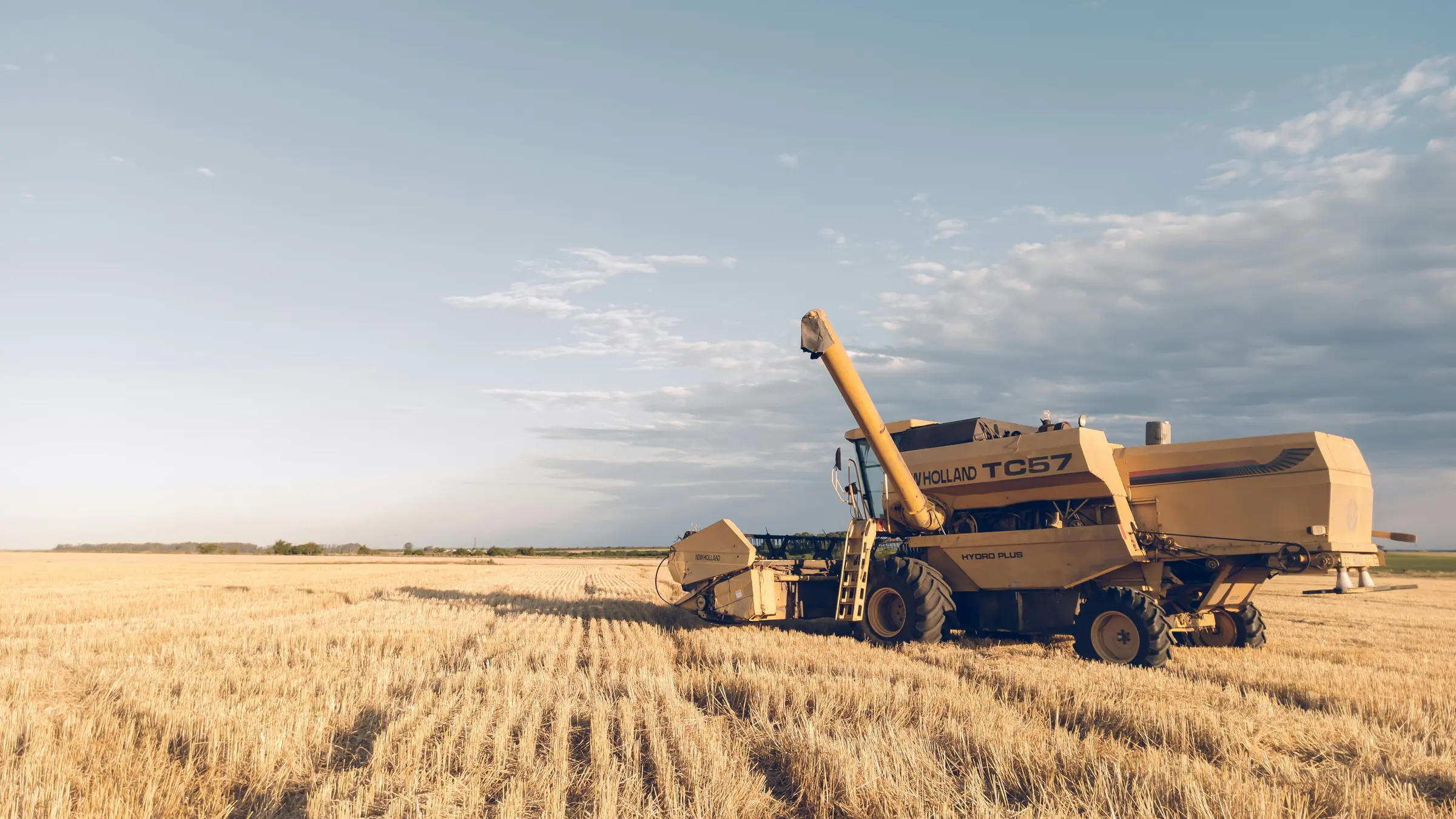 Grain harvest machinery in a field